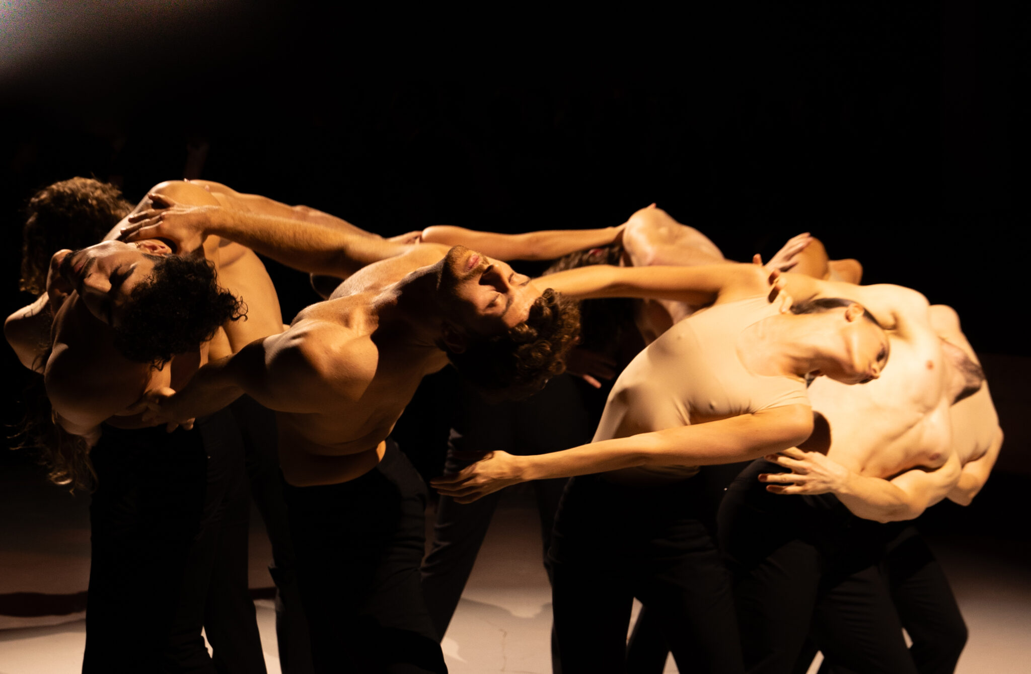 Alexandra Cardinale Ballet Julien Lestel Palais de Tokyo Paris