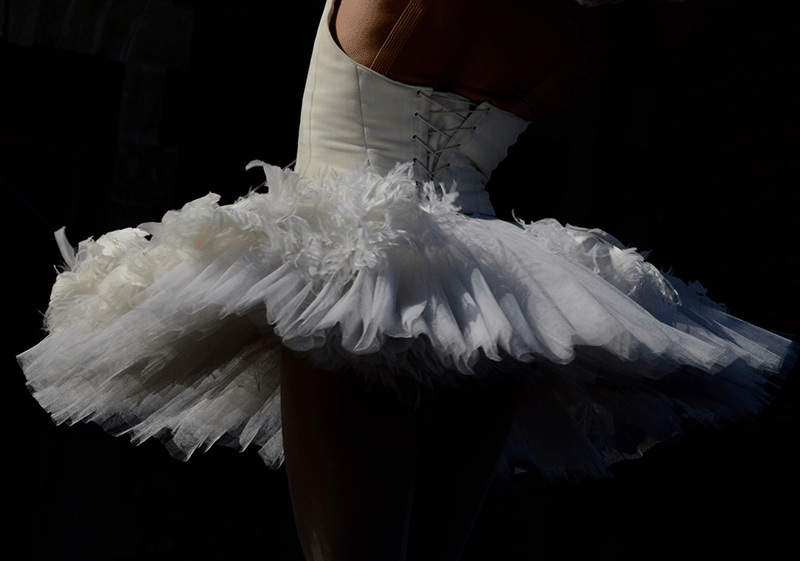 Abonnement mensuel ou annuel