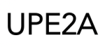 Logo UPE2A